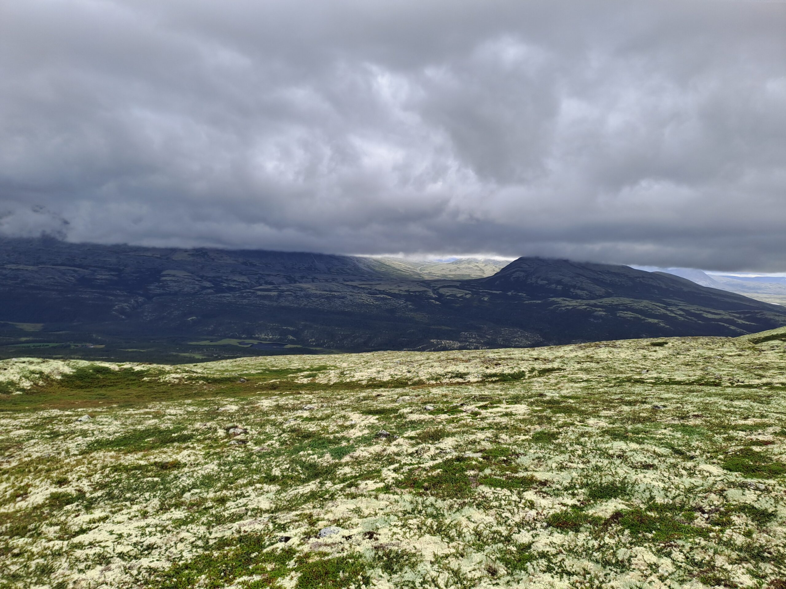 Het ontstaat waar het gebeurt