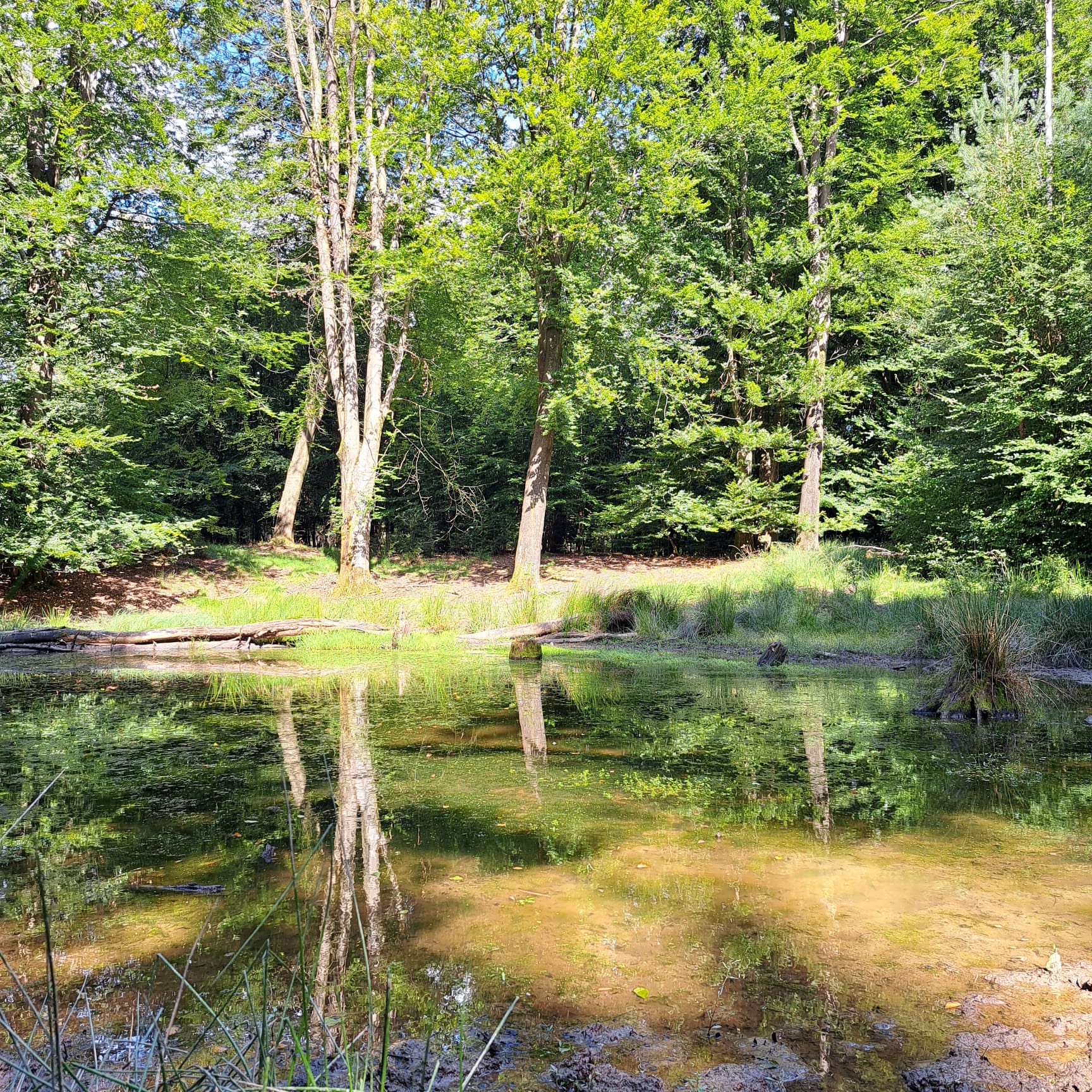 Het ontstaat waar het gebeurt